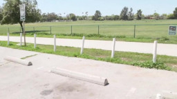 Madison Morgan - Things Are Looking Up(skirt)! 3 18-07-2025